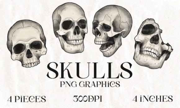 Download Skulls Halloween PNG Graphics - Halloween Collection